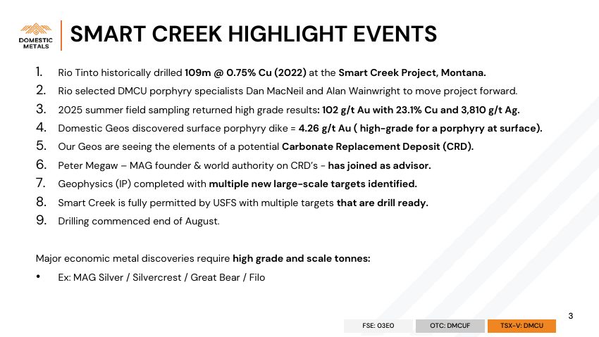 Domestic Metals September 2026 presentation, slide 3 of 32