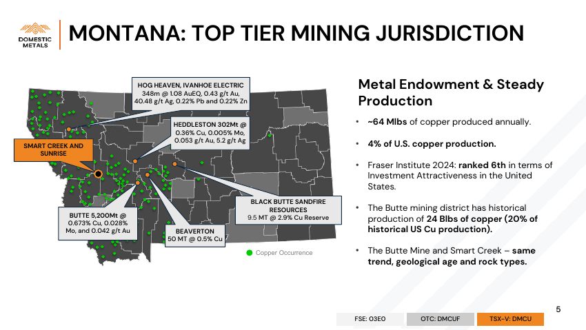 Domestic Metals September 2026 presentation, slide 5 of 32