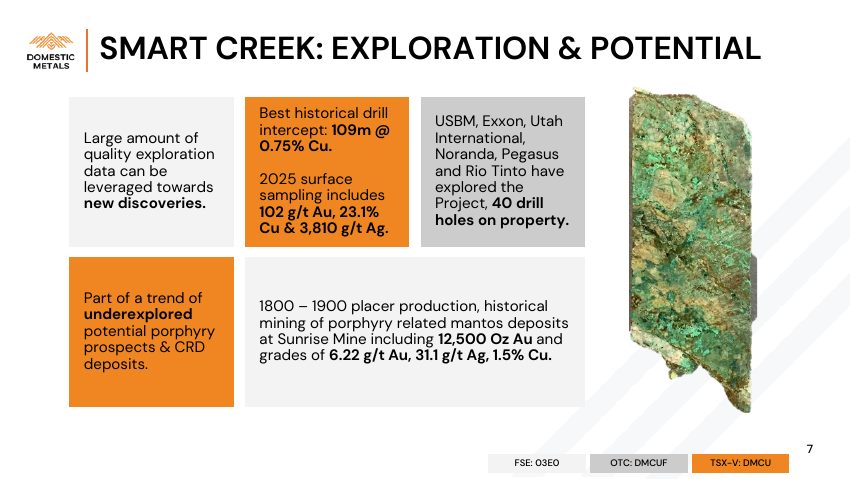 Domestic Metals September 2026 presentation, slide 7 of 32