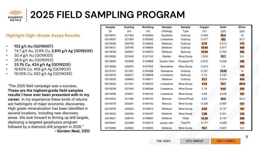 Domestic Metals September 2026 presentation, slide 11 of 32