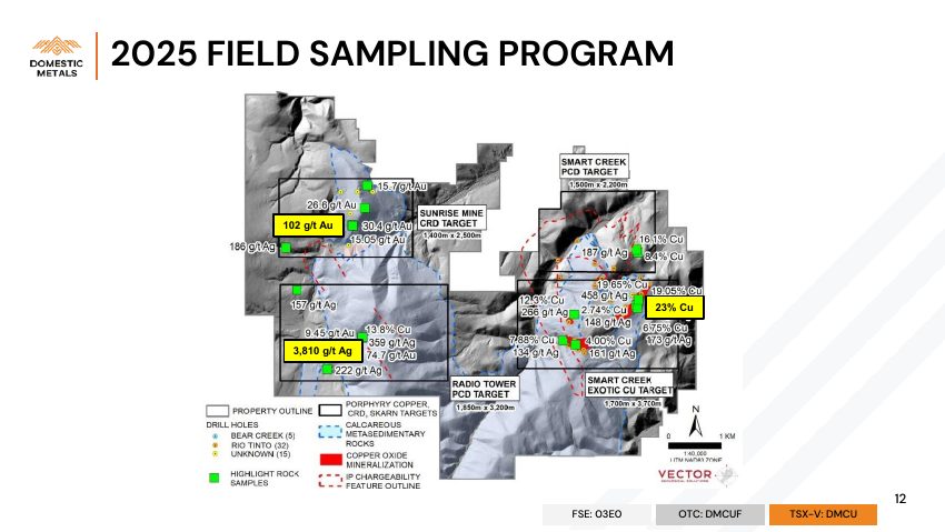 Domestic Metals September 2026 presentation, slide 12 of 32