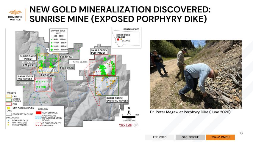 Domestic Metals September 2026 presentation, slide 13 of 32
