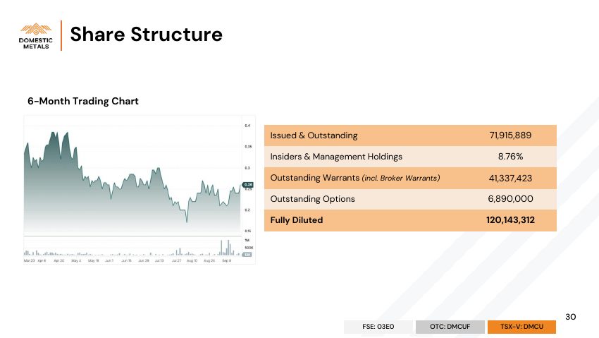 Domestic Metals September 2026 presentation, slide 30 of 32